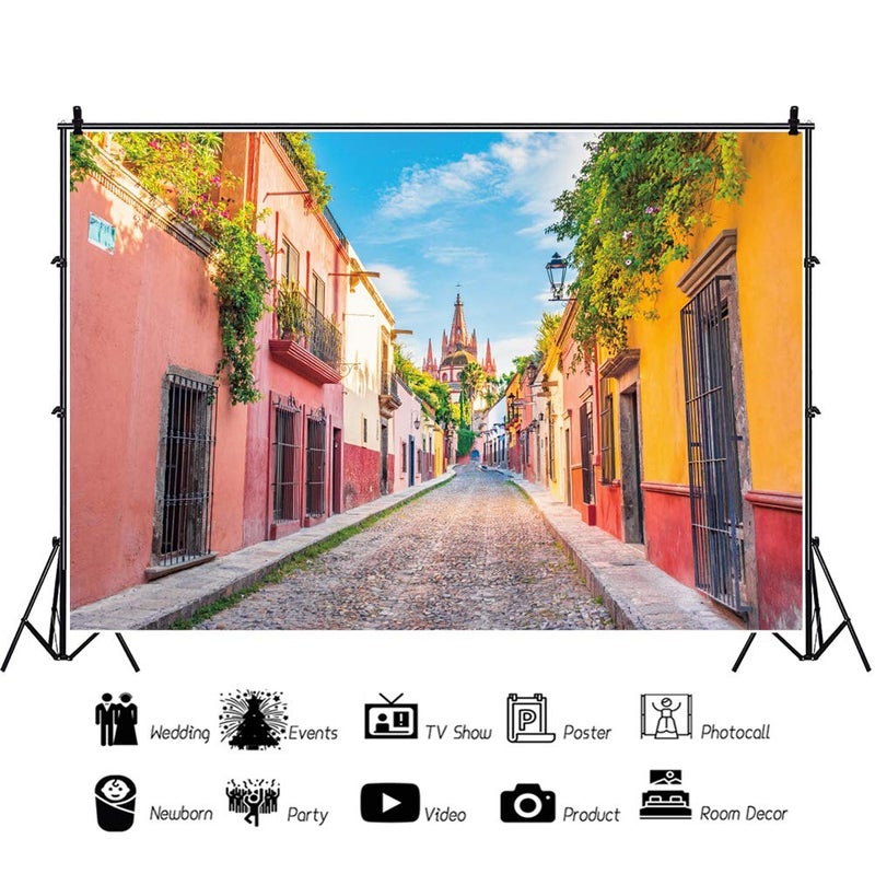 AOFOTO 10x7ft Street Scene Backdrop Spring Countryside Downtown Narrow Alley Pathway Mexico Colorful Houses Background Kids Children Holiday Travel Photography Wedding Marriage Photo Prop Vinyl - Image 3